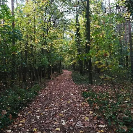 Apartamento In Koepenick *