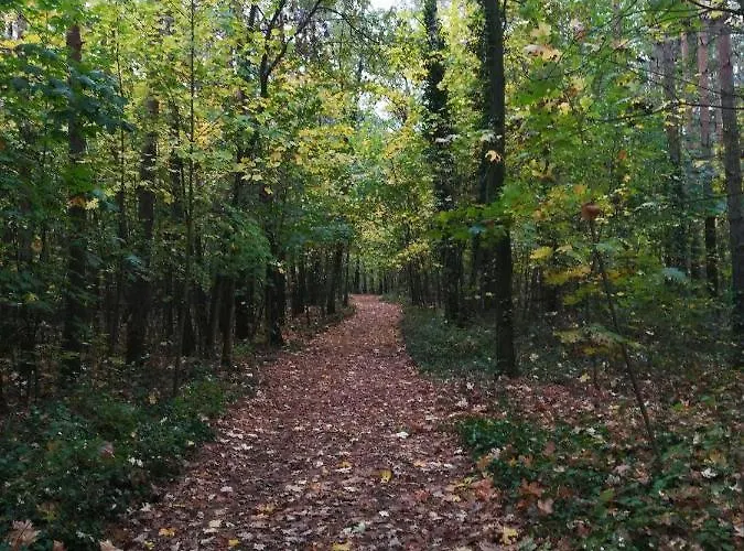 아파트 In Koepenick *